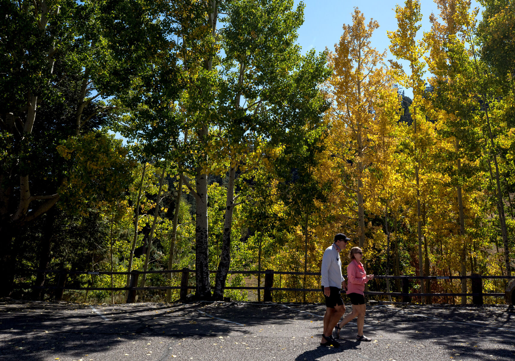 Fall colors